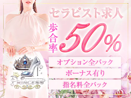 終電前のPrincess