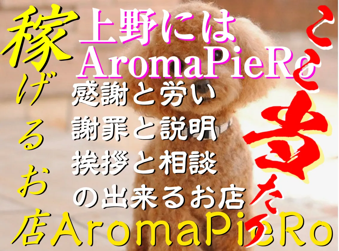 上野メンズエステ Aroma piero