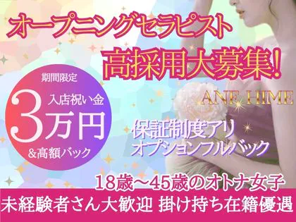ANE HIME～アネヒメ～