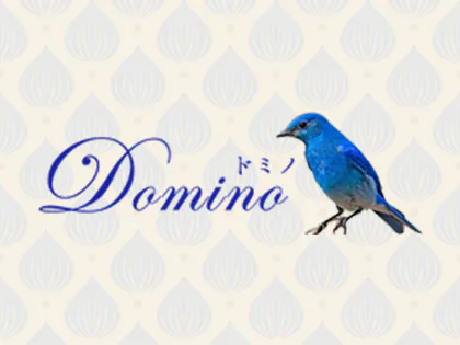 Domino(ドミノ)自由が丘店