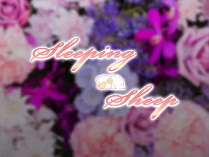 Sleeping Sheep（スリーピングシープ）