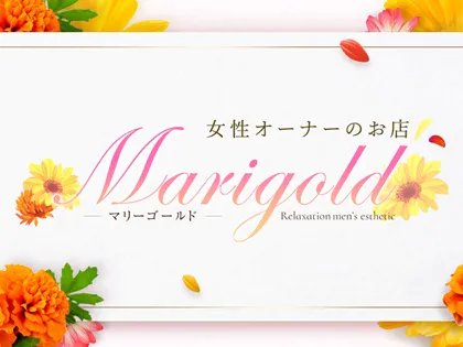 Marigold(マリーゴールド)