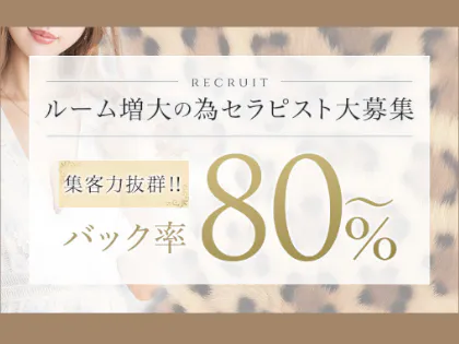 Cheetah~チーター