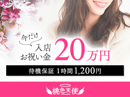 桃色天使2.0
