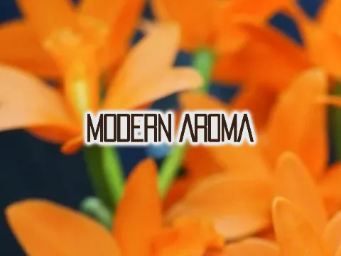 Modern Aroma