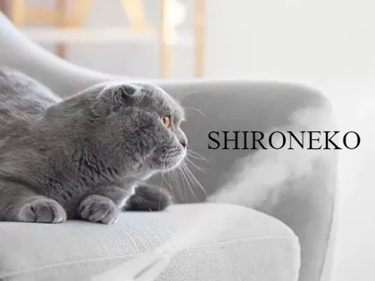 白ねこエステ
