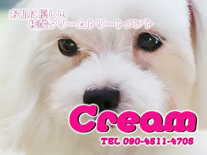 Cream（クリーム）