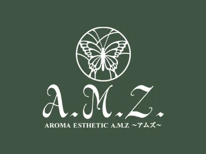A.M.Z～アムズ～